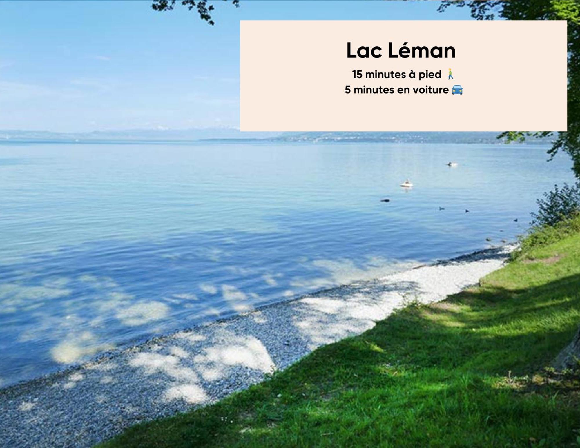 Cosy Et Moderne - Dent D'Oche Apartamento Thonon-les-Bains Exterior foto